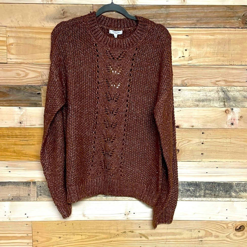 Day to Day Blu Pepper size large brown cable knit sweater